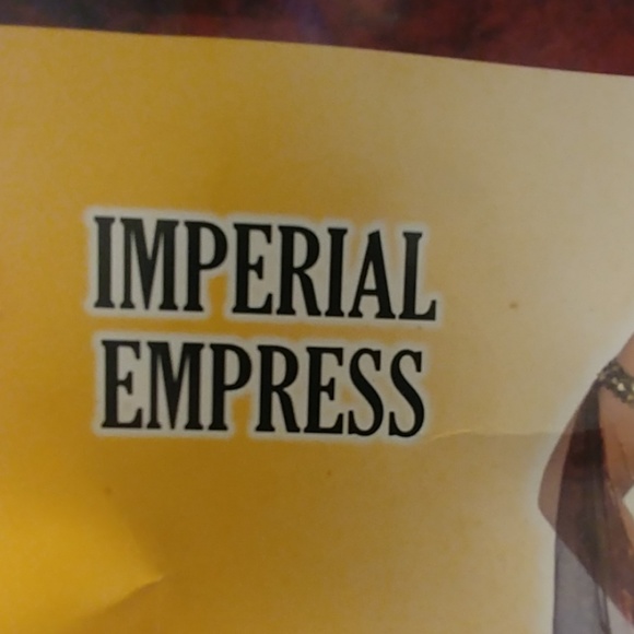 Imperial Dress Costume - Picture 3 of 4